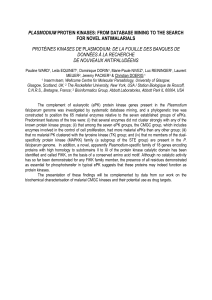 plasmodium protein kinases: from database mining to the search for