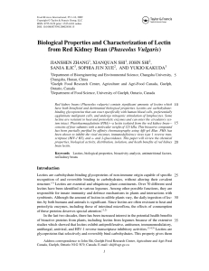 Biological Properties and Characterization of Lectin from Red