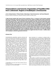 Polymorphisms and Genomic Organization of Repetitive