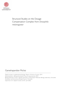 Structural Studies on the Dosage Compensation Complex from