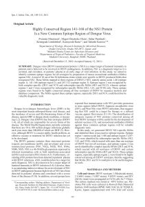 Highly Conserved Region 141–168 of the NS1 Protein Is a New