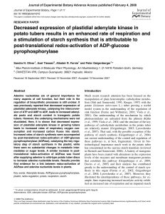 Decreased expression of plastidial adenylate kinase in potato tubers