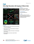 Ultra-High Resolution 3D Imaging of Whole Cells