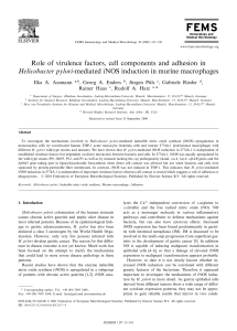 Role of virulence factors, cell components and adhesion in