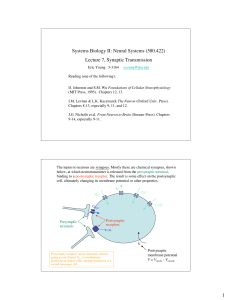 (580.422) Lecture 7, Synaptic Transmission