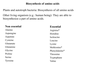 Biosynthesis of amino acids