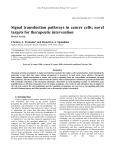 Signal transduction pathways in cancer cells