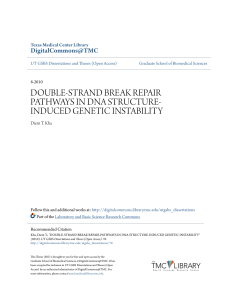 double-strand break repair pathways in dna structure