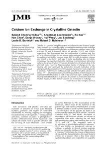 Calcium Ion Exchange in Crystalline Gelsolin