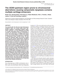 The SOX9 upstream region prone to chromosomal aberrations