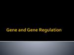 Gene and Gene Regulation