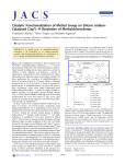 Catalytic Functionalization of Methyl Group on Silicon: Iridium