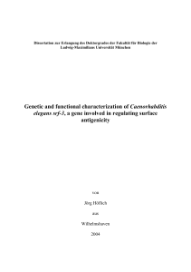 Genetic and functional characterization of Caenorhabditis elegans
