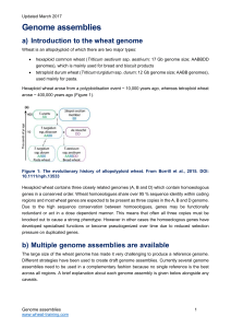 Genome assemblies