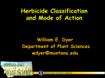 Herbicide Classification and Mode of Action