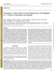 Polarization of the Innate Immune Response by Prostaglandin E2: A