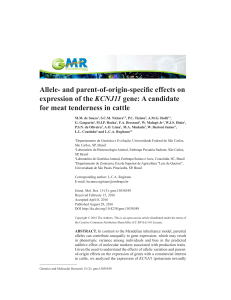 Allele- and parent-of-origin-specific effects on expression of the