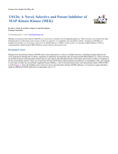 U0126: A Novel, Selective and Potent Inhibitor of MAP Kinase Kinase