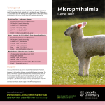 Microphthalmia gene test