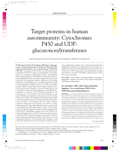 Target proteins in human autoimmunity: Cytochromes