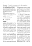 Disruption of bacterial quorum sensing by other organisms