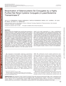 Bioactivation of Selenocysteine Se-Conjugates by a Highly Purified