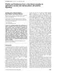 Prickle and Strabismus form a functional complex to generate a