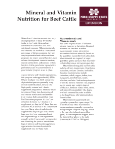 P2484 Mineral and Vitamin Nutrition for Beef Cattle
