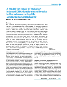 A model for repair of radiation-induced DNA double