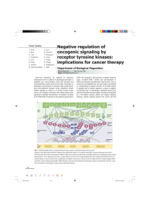Negative regulation of oncogenic signaling by receptor tyrosine