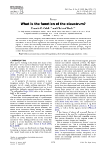 What is the function of the claustrum? - Christof Koch