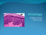 Cellular anatomy Tissues types