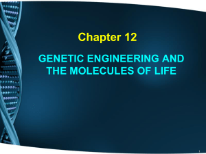Biokimia 1 - eLisa UGM