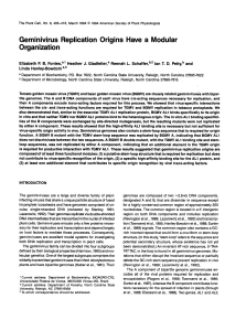 Geminivirus Replication Origins Have a Modular