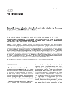 Bacterial Endocytobionts within Endosymbiotic Ciliates in Dreissena
