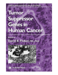Tumor Suppressor Genes in Human Cancer Tumor Suppressor