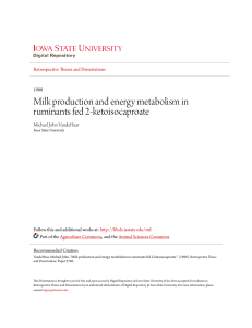 Milk production and energy metabolism in ruminants fed 2