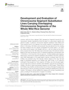 Development and Evaluation of Chromosome Segment