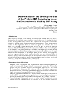 Determination of the Binding Site-Size of the Protein