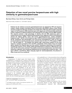 Detection of two novel porcine herpesviruses with high similarity to