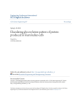 Elucidating glycosylation pattern of protein produced in mammalian