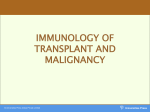 immunology of transplant and malignancy