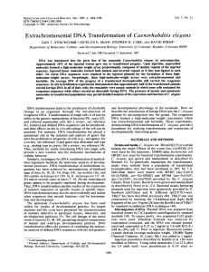 Extrachromosomal DNA Transformationof Caenorhabditis elegans