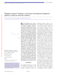 Elongation factor P mediates a novel post