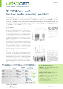 SPLIT RNA Extraction Kit: Pure Fractions for Demanding Applications