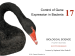 Control of Gene Expression in Bacteria