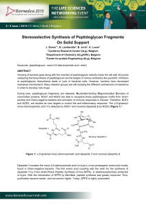 Stereoselective Synthesis of Peptidoglycan Fragments On Solid