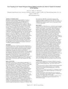 Gene Targeting by the Vitamin D Response Element Binding Protein