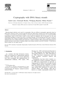 Cryptography with DNA binary strands
