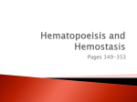 Ch 10 Hematopoeisis and Hemostasis